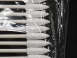 BB-003